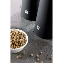 Zwilling Salzmühle 19 Cm, Kunststoff, Schwarz -ZWILLING Messer Verkäufe 000021025